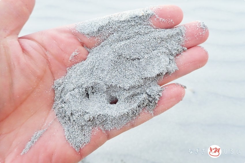 世界一小さい砂粒の砂浜「千鳥ヶ浜」愛知県南知多