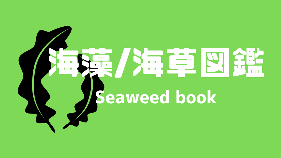 『海藻/海草図鑑』なぎさひろいの生きもの図鑑