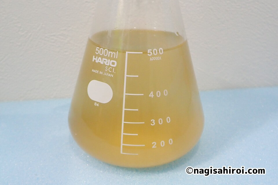 浮遊珪藻（キートセロス・グラシリス）の元種維持方法「静置培養」