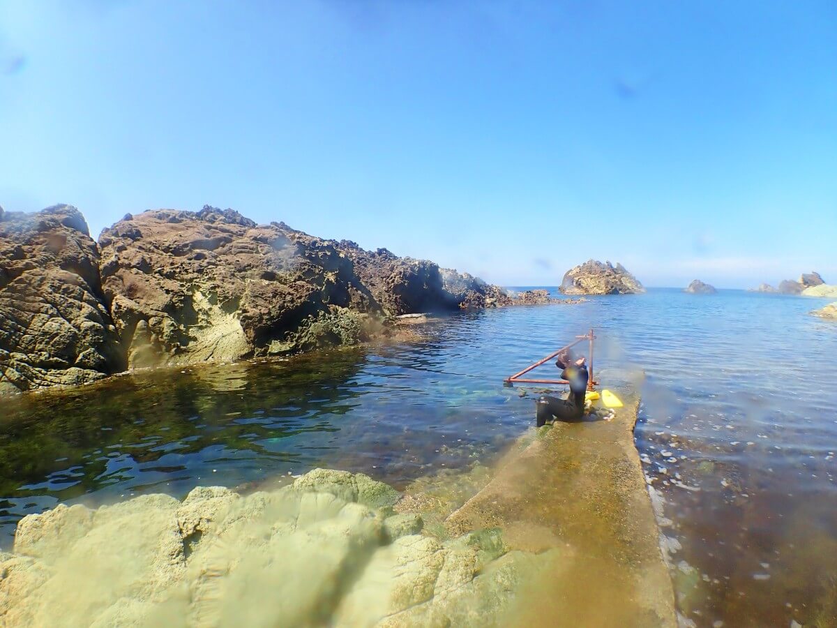トンボ渡りのエントリー！2025.8.31｜なぎさひろいの清須・西尾から送迎付き福井越前ビーチダイビングツアー