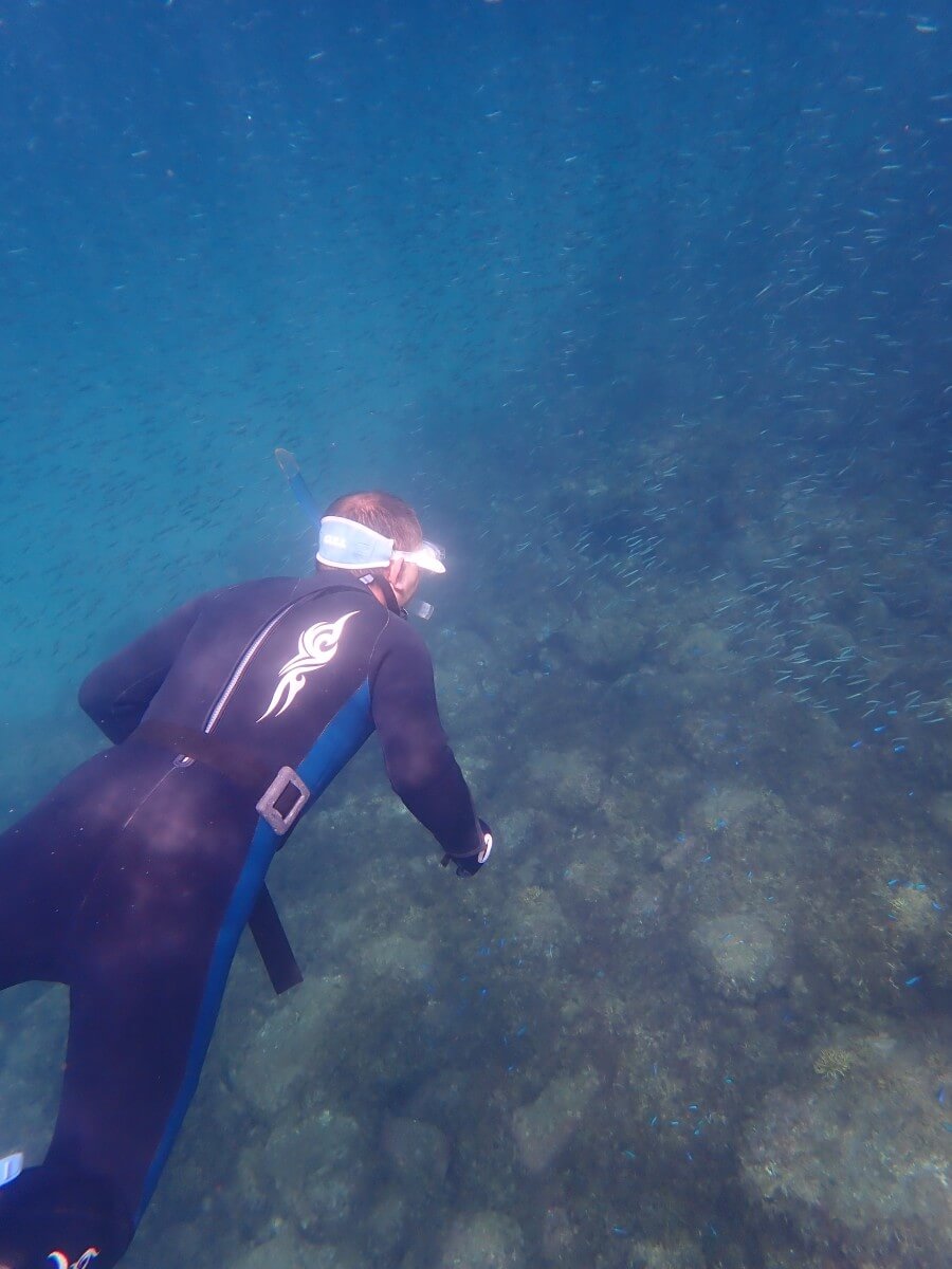 キビナゴ観察！2025.9.3｜なぎさひろいの清須・西尾から送迎付き西伊豆の川奈ビーチでシュノーケリングとスキンダイビングツアー