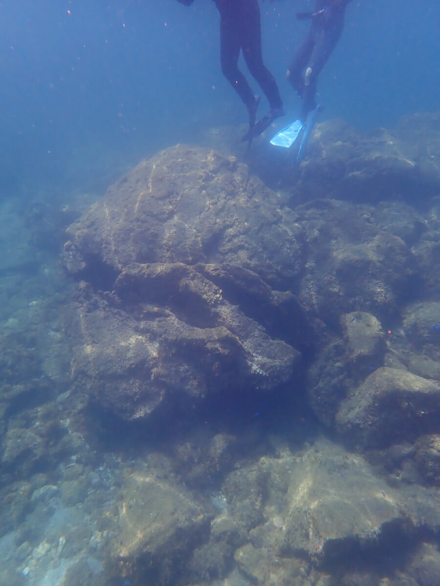 ウミガメの休憩所！2025.9.3｜なぎさひろいの清須・西尾から送迎付き西伊豆の川奈ビーチでシュノーケリングとスキンダイビングツアー