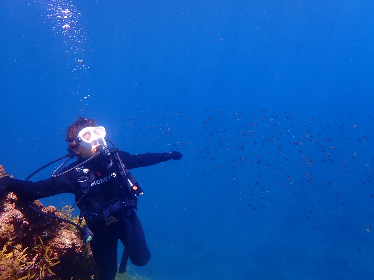 トンボ渡りのスズメダイとダイバー！2025.9.6｜なぎさひろいの清須・西尾から送迎付き福井越前ビーチで体験ダイビングツアー