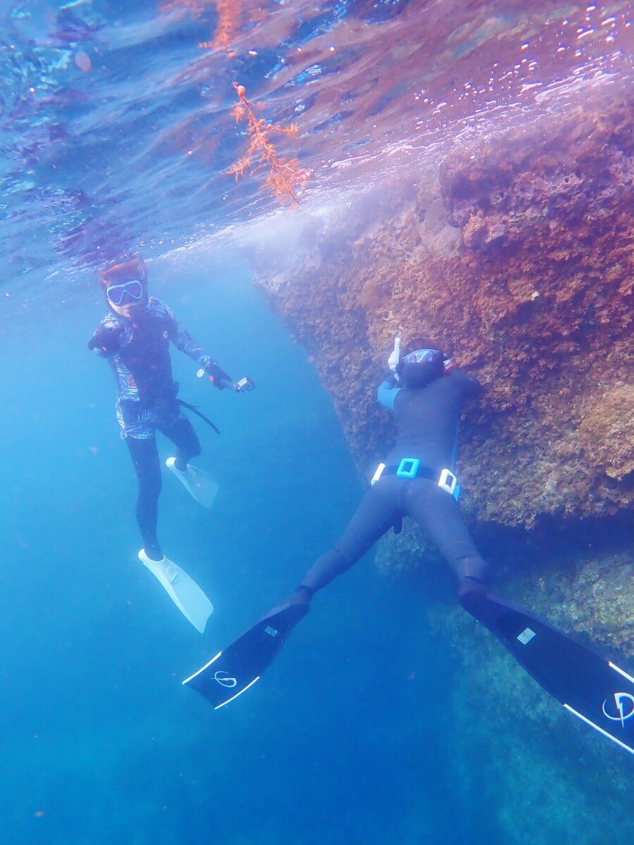 ログ前ビーチで生きもの撮影！2025.9.7｜なぎさひろいの清須・西尾から送迎付き福井越前ビーチでシュノーケリングとスキンダイビングツアー