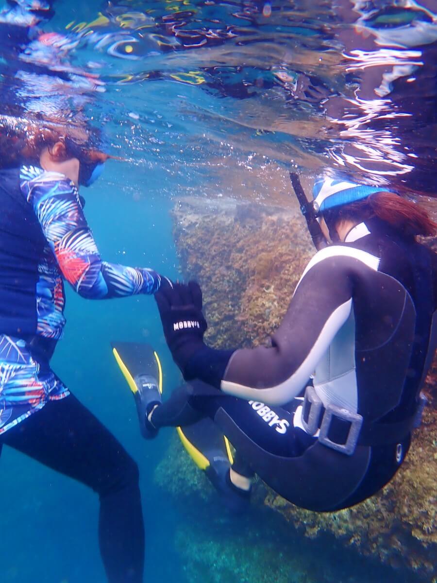 ログ前で生きものの場所確認！2025.9.7｜なぎさひろいの清須・西尾から送迎付き福井越前ビーチでシュノーケリングとスキンダイビングツアー