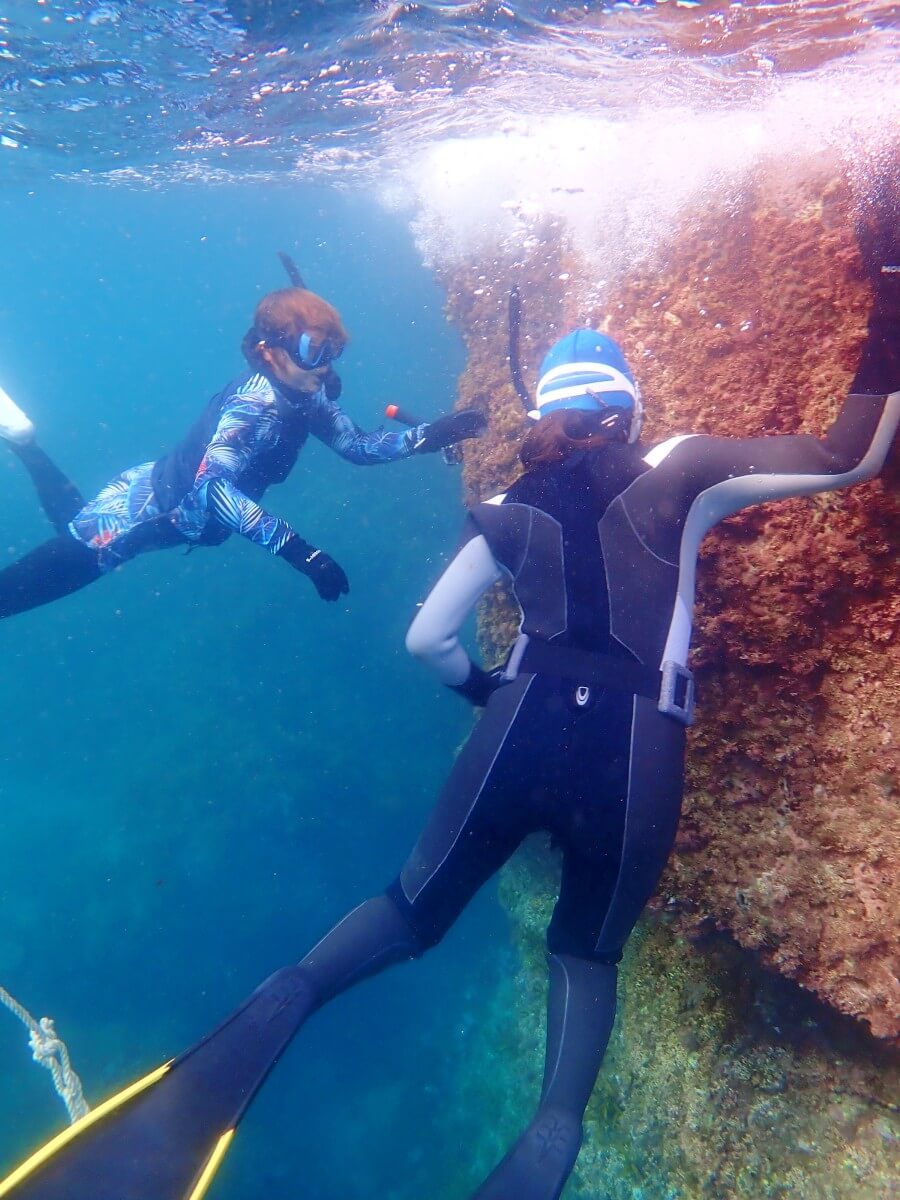 素潜りで生きもの観察！2025.9.7｜なぎさひろいの清須・西尾から送迎付き福井越前ビーチでシュノーケリングとスキンダイビングツアー