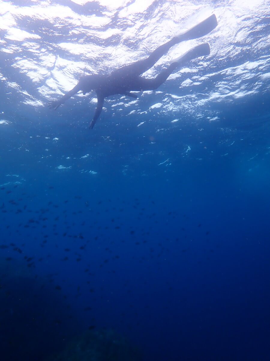 水面浮き！2025.9.12｜なぎさひろいの清須・西尾から送迎付き福井越前ビーチでシュノーケリングとスキンダイビングツアー