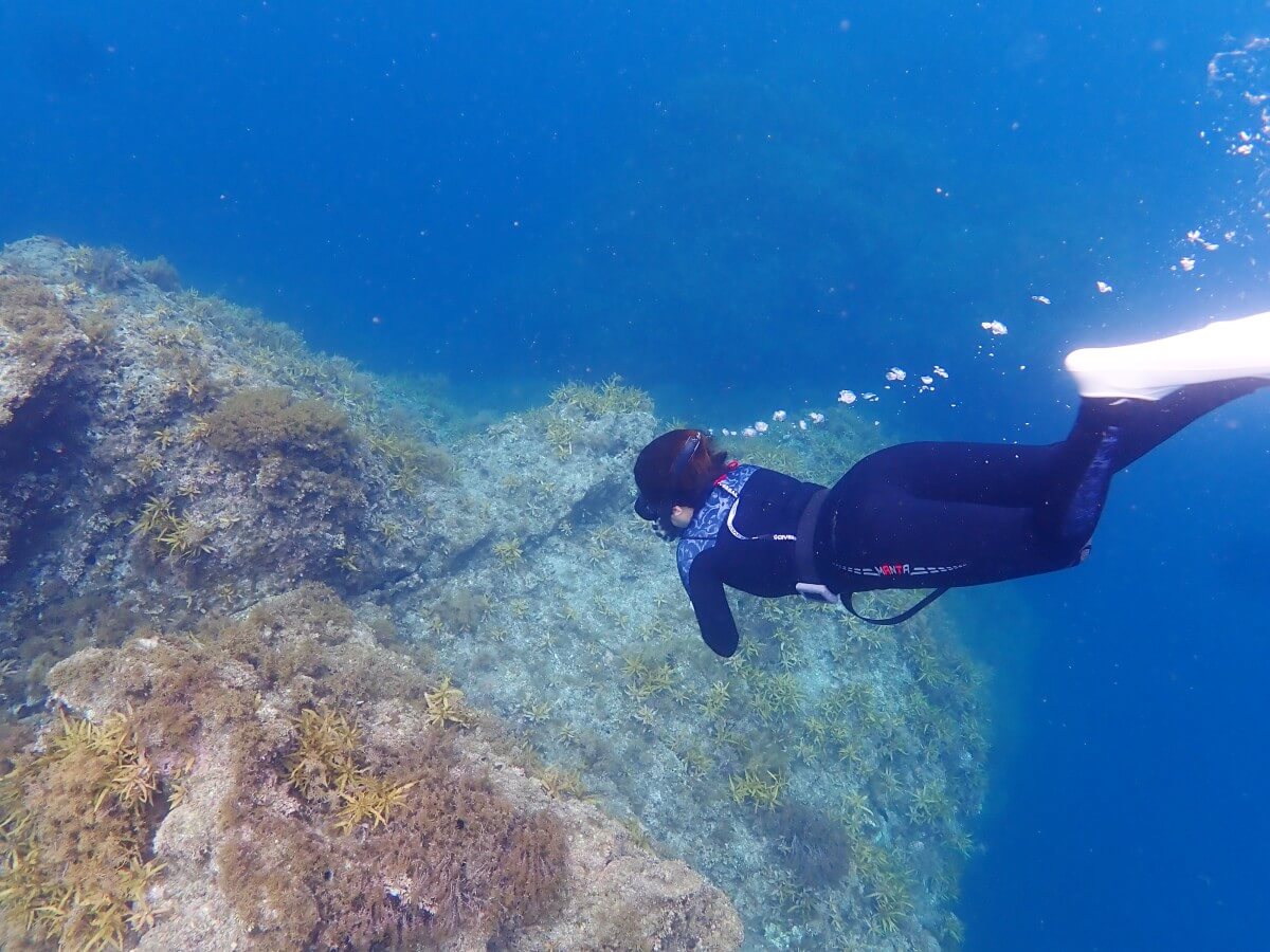 素潜りに挑戦！2025.9.12｜なぎさひろいの清須・西尾から送迎付き福井越前ビーチでシュノーケリングとスキンダイビングツアー