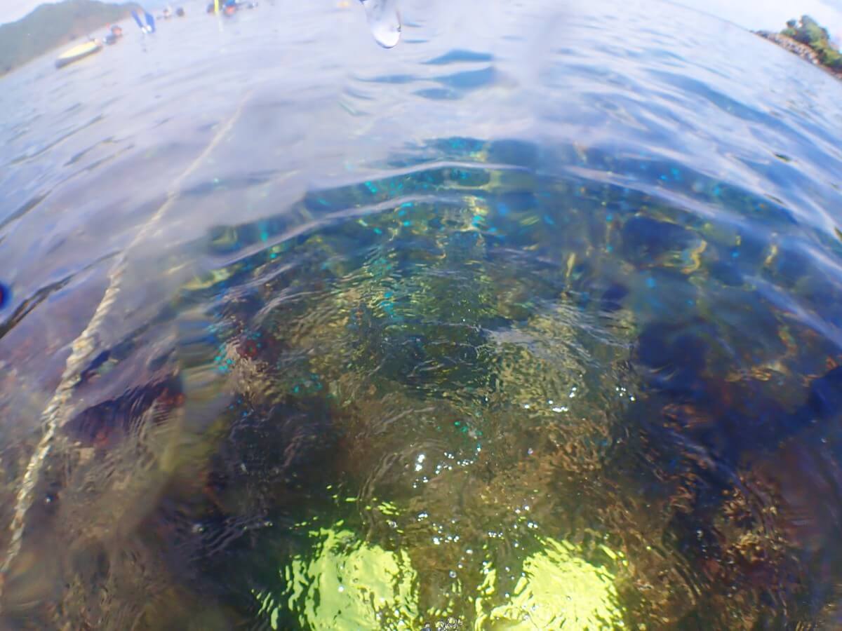 今日も綺麗な川奈ビーチ!2025.9.14|【なぎさひろい】名古屋に近い清須・西尾から送迎付き!静岡県東伊豆の川奈ビーチでシュノーケリングとスキンダイビングツアー