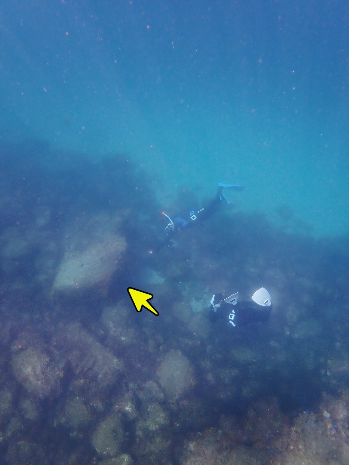 ミノカサゴの観察へ!2025.9.14|【なぎさひろい】名古屋に近い清須・西尾から送迎付き!静岡県東伊豆の川奈ビーチでシュノーケリングとスキンダイビングツアー