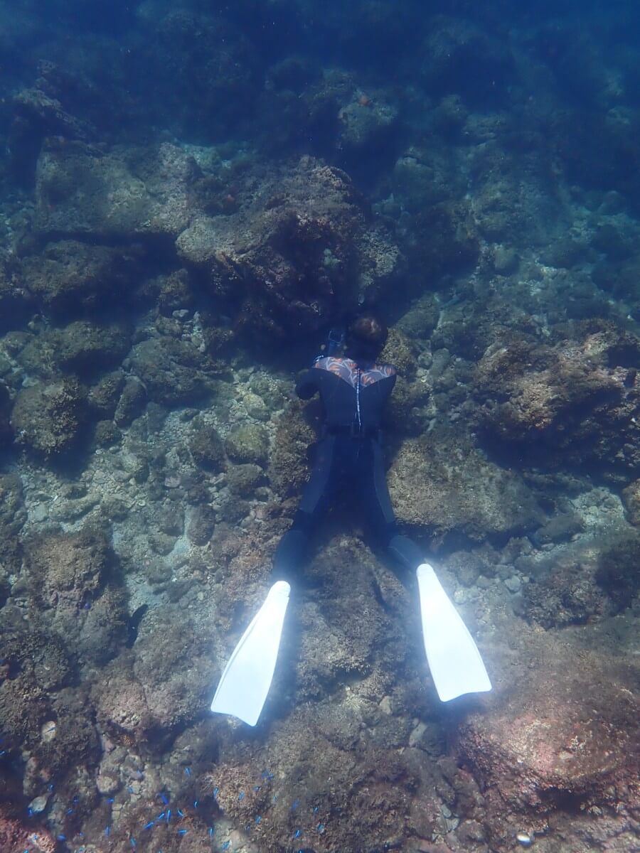 生きもの探し!2025.9.14|【なぎさひろい】名古屋に近い清須・西尾から送迎付き!静岡県東伊豆の川奈ビーチでシュノーケリングとスキンダイビングツアー