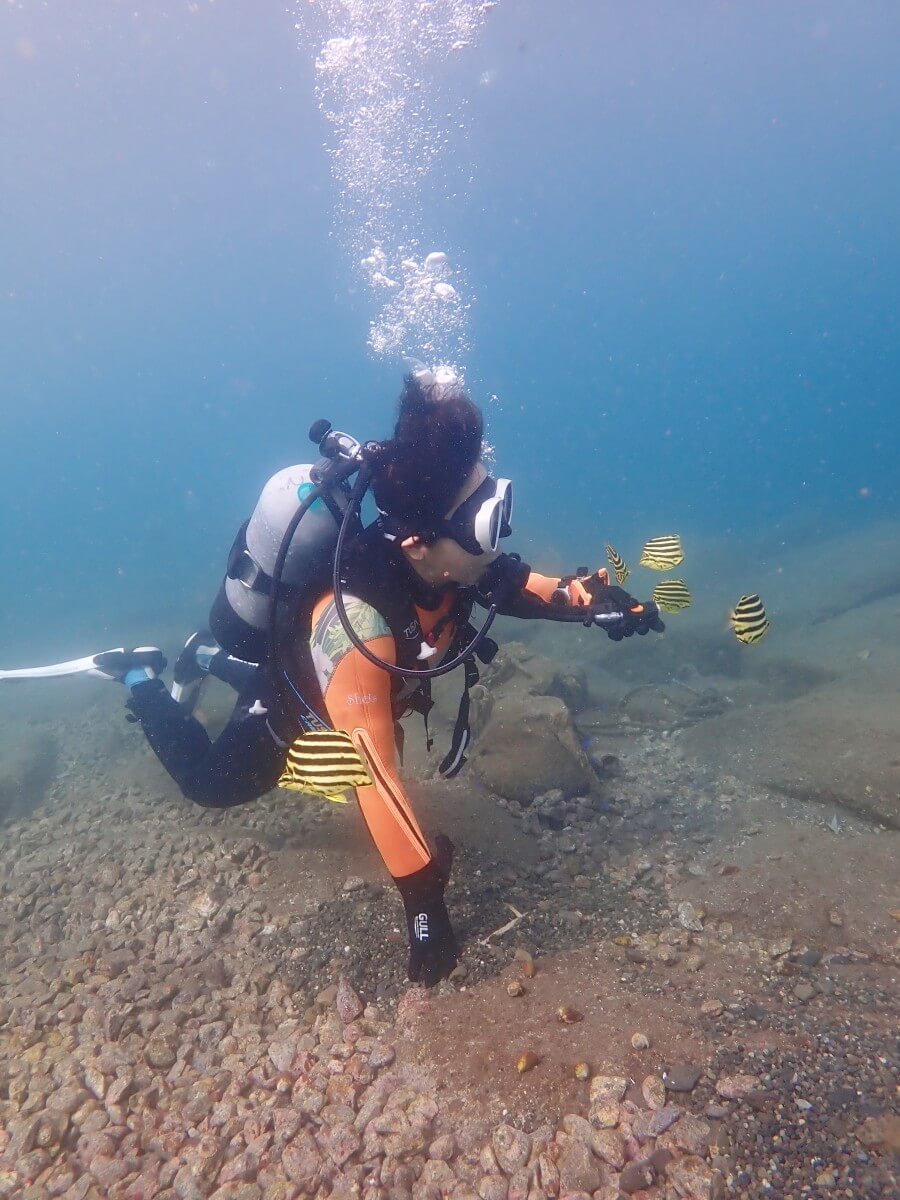集まってきたカゴカキダイ2025.9.28｜【なぎさひろい】名古屋に近い清須・西尾から送迎付き！静岡県西伊豆にある大瀬崎ビーチで中級ライセンスAOWDのナビゲーション講習とファンダイビングツアー