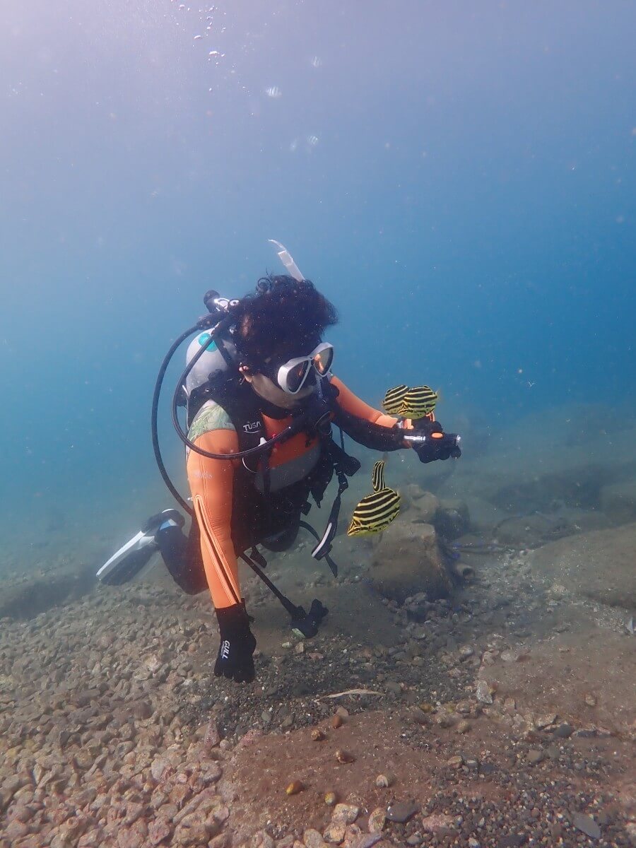 カゴカキダイを観察する2025.9.28｜【なぎさひろい】名古屋に近い清須・西尾から送迎付き！静岡県西伊豆にある大瀬崎ビーチで中級ライセンスAOWDのナビゲーション講習とファンダイビングツアー